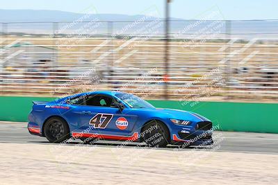 media/May-07-2022-Cobra Owners Club of America (Sat) [[e681d2ddb7]]/Blue/Session 2 (Turn 1 and Front Straight)/